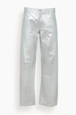 Iconic Metallic Silver Pants In Silver