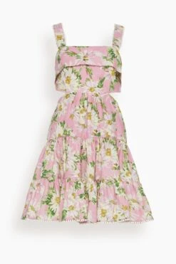 Maia Cut Out Mini Dress In Blossom