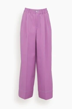 Elastic Waist Pleated Wide Leg Trousers In Grape