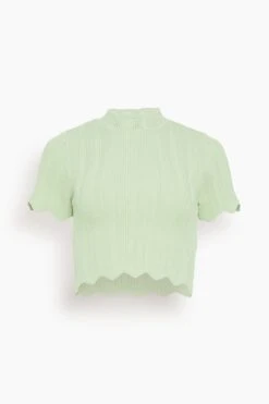 Poppy Scallop Knit Top In Pistachio
