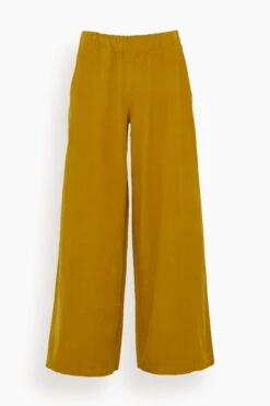 Panta Emme Lampo In Curry