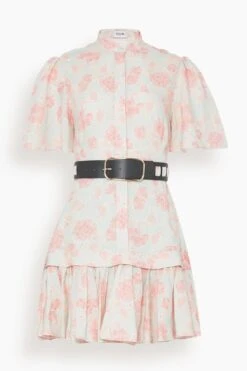 Beatrice Short Sleeve Mini Dress In Anemone Print In Rouge