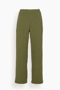 Demsey Pant In Basil