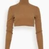 Brie Cropped Turtleneck In Camel Melange