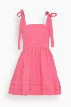 Kammy Sleeveless Mini Dress In Azalea