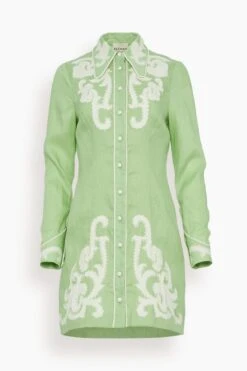 Ruby Mini Dress In Mint