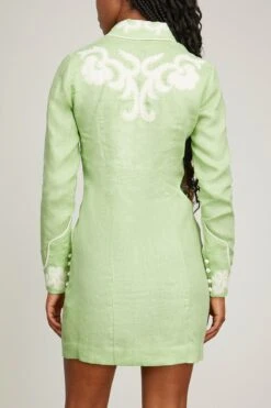 Ruby Mini Dress In Mint -Dries Van Noten Shop alemais RubyMiniDressinMint 3