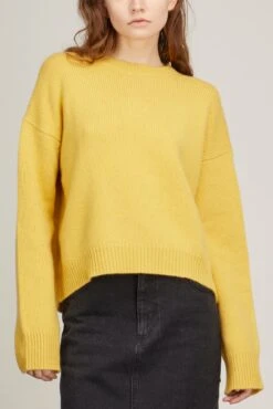 The Ivy Jumper In Canary Yellow -Dries Van Noten Shop arch4 the ivy jumper in canary yellow 2
