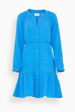 Rainey Dress In Cobalt