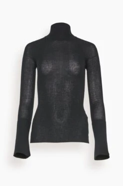 Turtleneck Long Sleeve Top In Black
