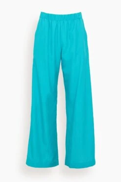 Roman Wide Leg Pant In Viv
