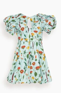 Noni Primavera Dress In Multicolor