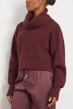 High Neck Sweater In Bordeaux -Dries Van Noten Shop sasuphi HighNeckSweaterinBordeaux 2