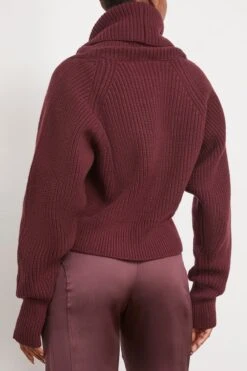 High Neck Sweater In Bordeaux -Dries Van Noten Shop sasuphi HighNeckSweaterinBordeaux 3