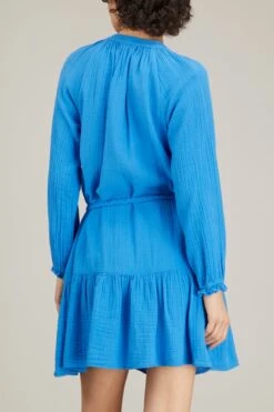 Rainey Dress In Cobalt -Dries Van Noten Shop xirena rainey dress in cobalt 3